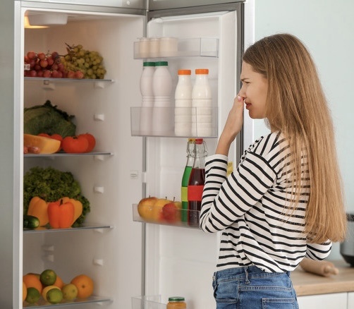 Что делать, если воняет холодильник?