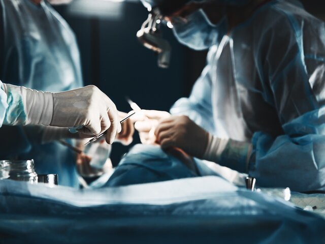    Фото: 123RF/gerain0812