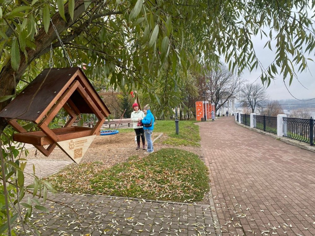    В парке Гагарина и Александровском саду появились кормушки