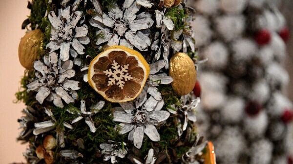    © Sputnik / Виктор Толочко