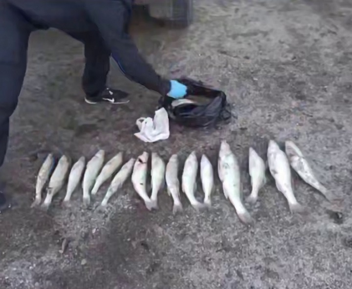    Фото: пресс-служба ГУВД по Краснодарскому краю