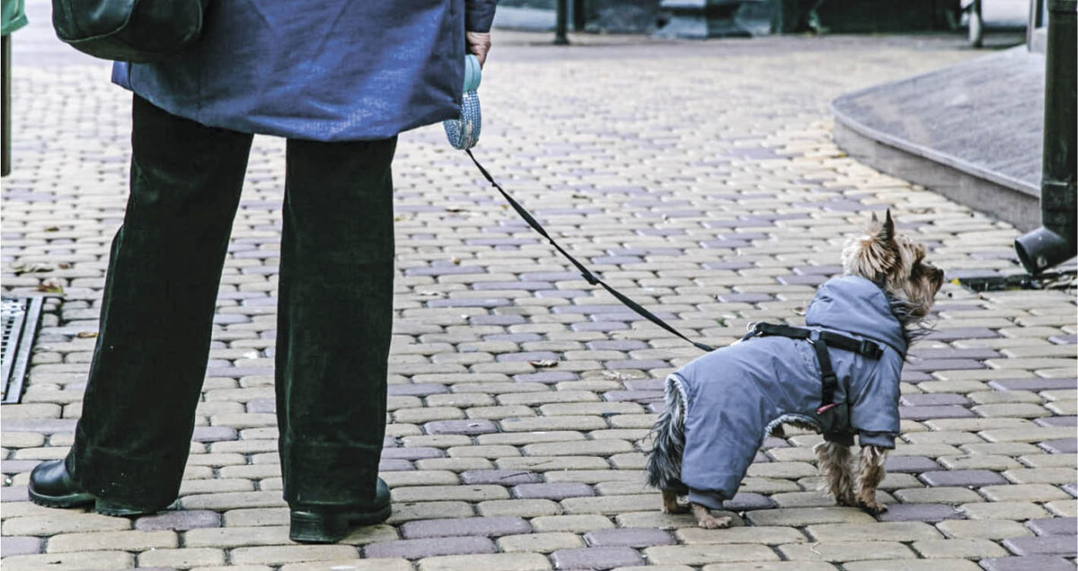 Фото: Михаил ГЛАДЧУК