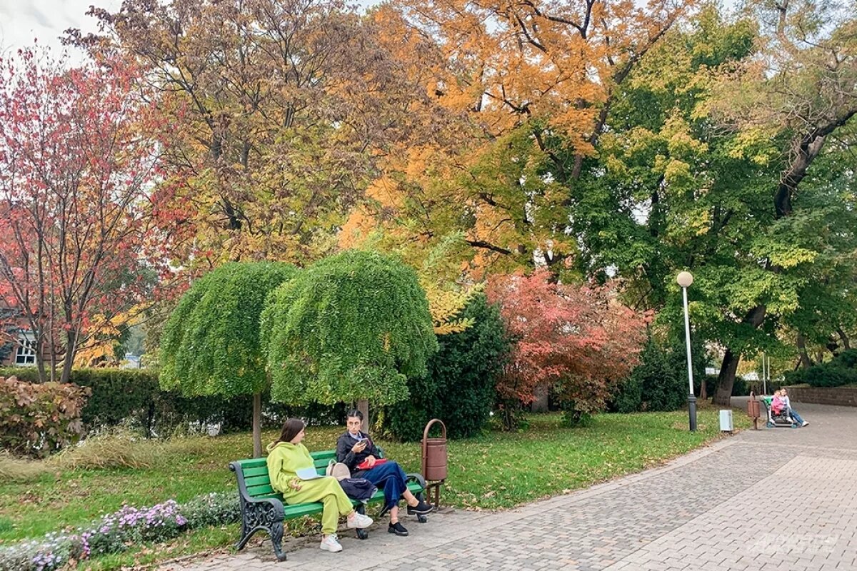    Мэр Краснодара Евгений Наумов: «Стабильно работает только сервис MAX»