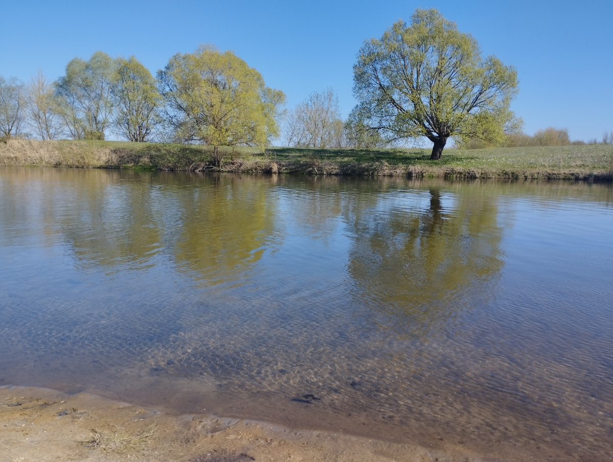 Курская область, Октябрьский район, пос. Прямицыно, река Сейм, 20.04.2025