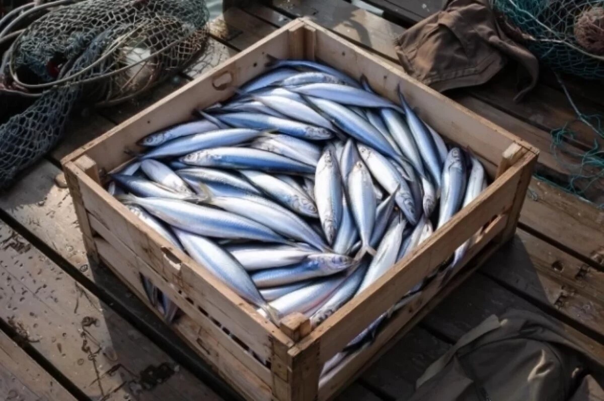    Маленькая, да удаленькая.