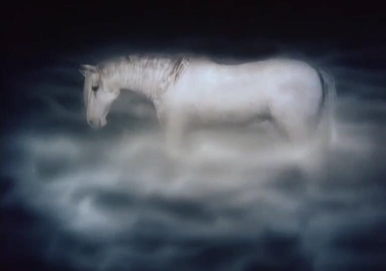 Мы будем всегда, правда?