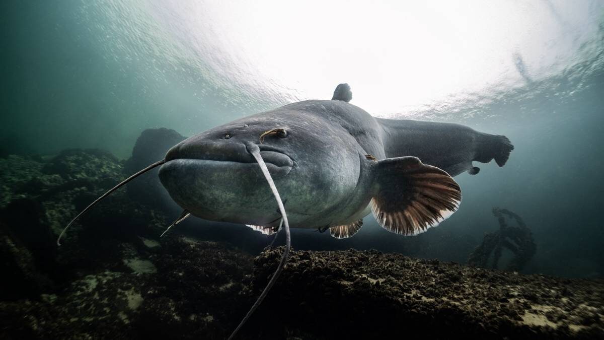    Фото: Shutterstock