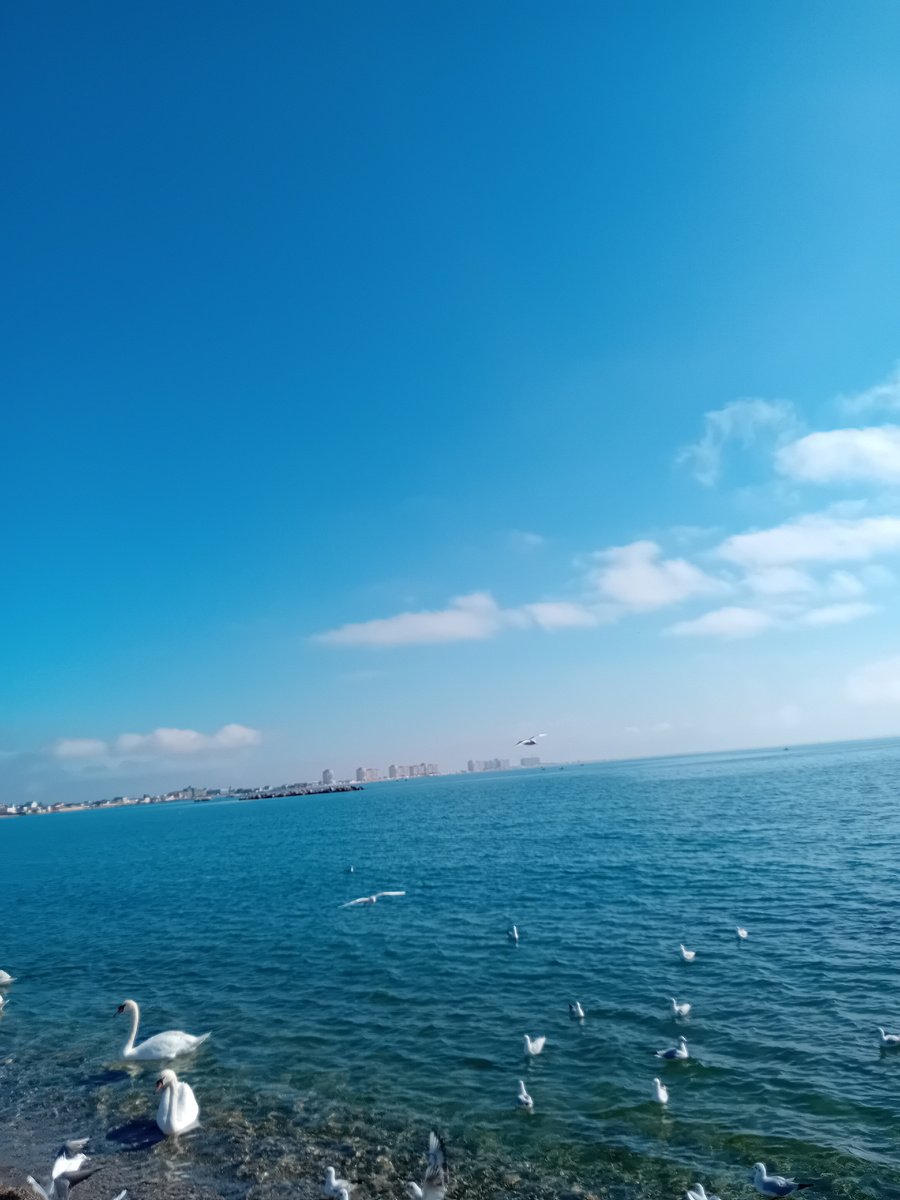  Авторское фото.