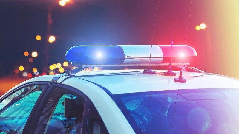    Фото: Fedorovekb/Shutterstock/Fotodom