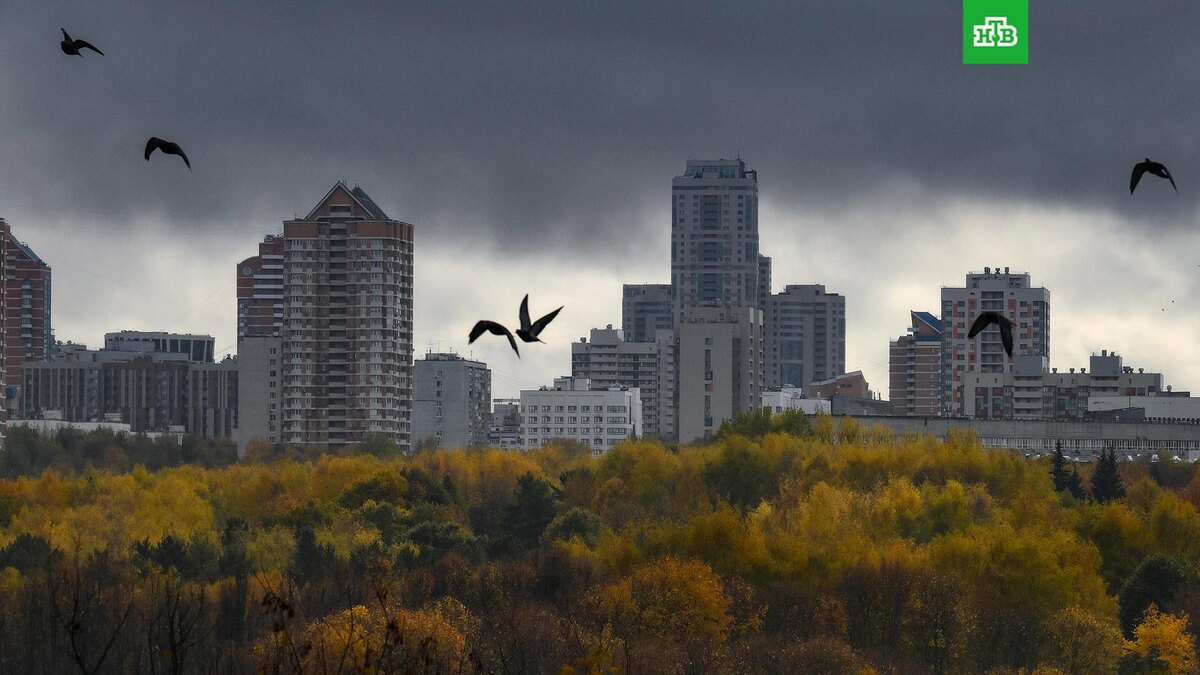    Фото: РИА Новости © 2025, Юрий Кочетков