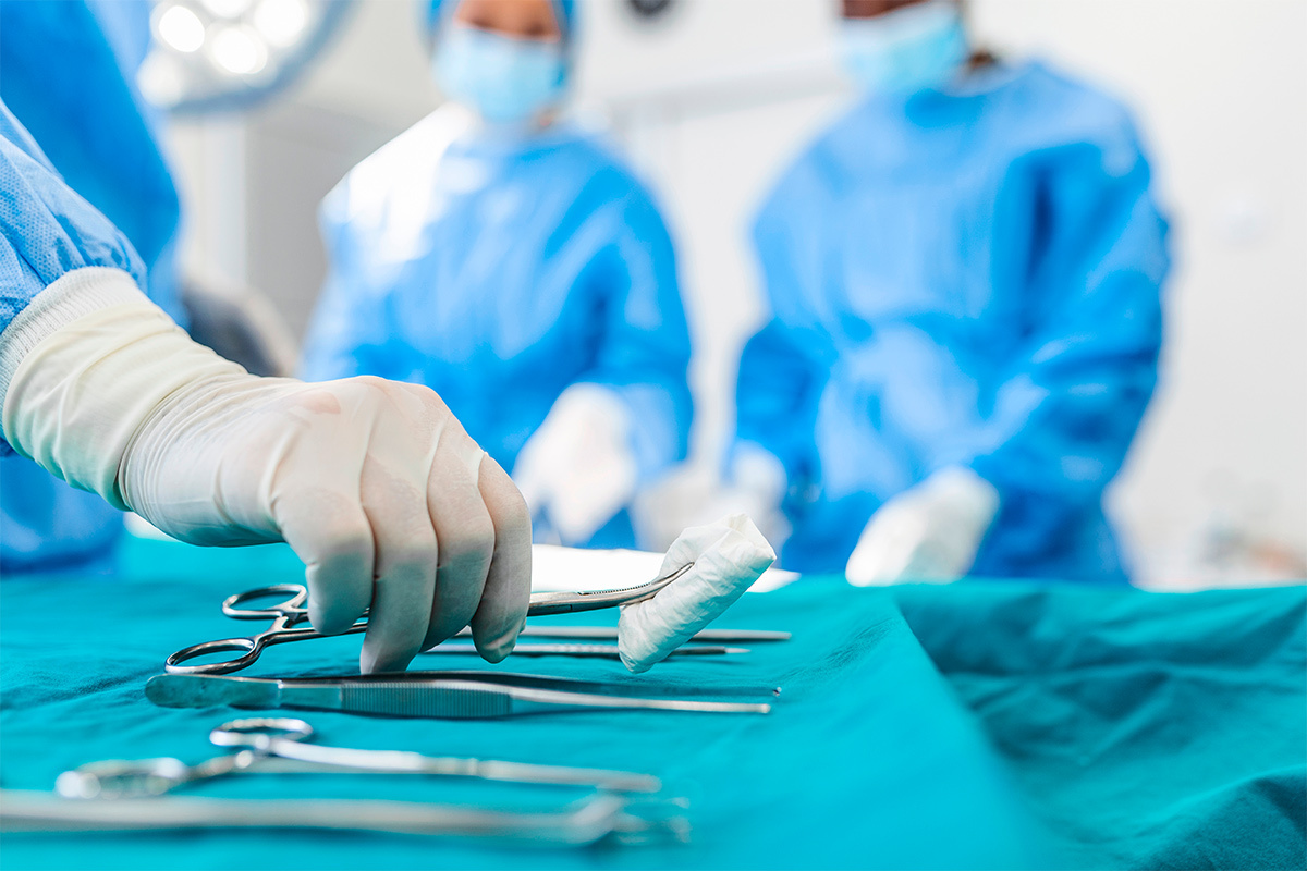    Фото: Photoroyalty / Shutterstock.com