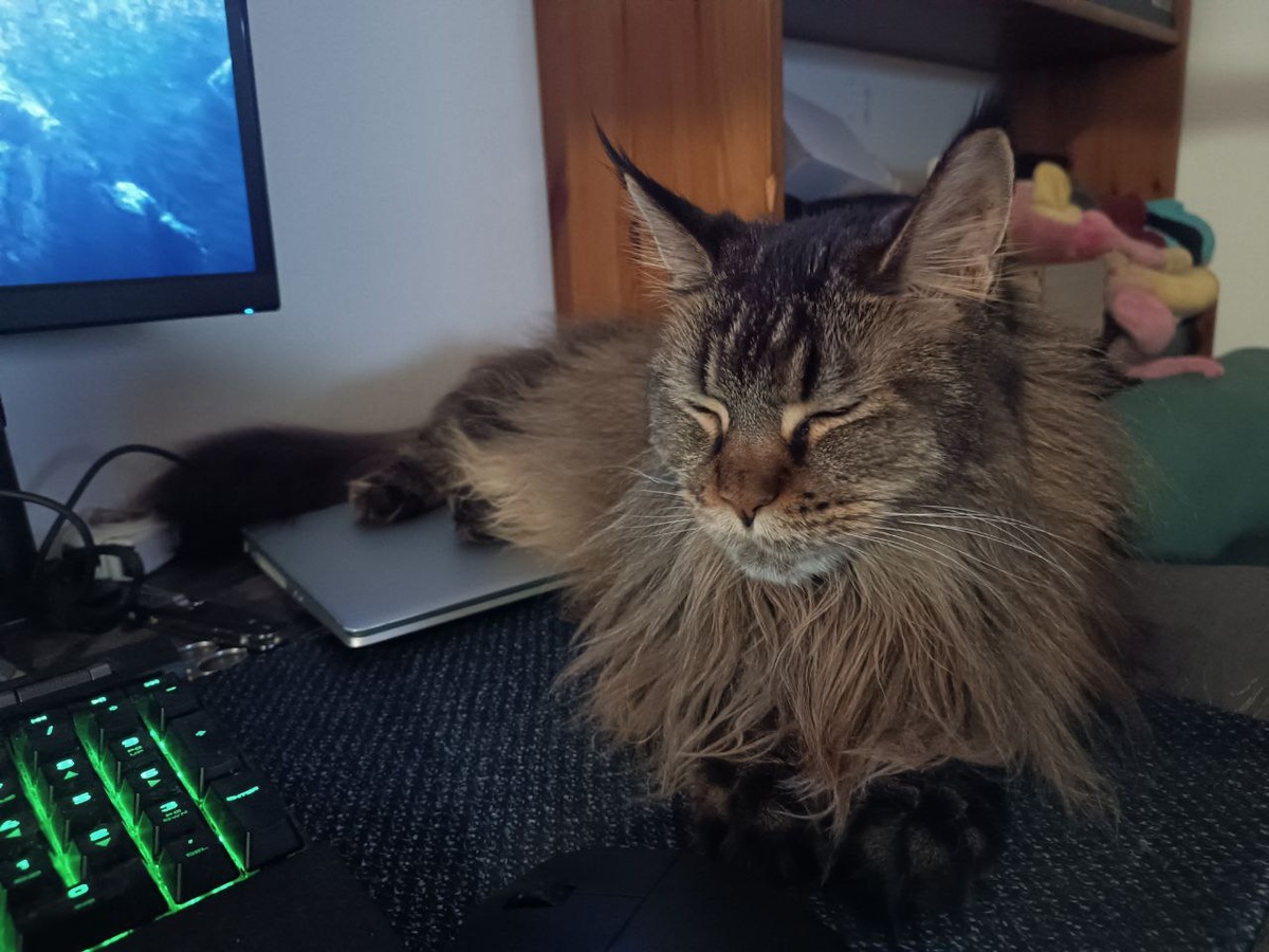 Это я думаю, как они там находятся