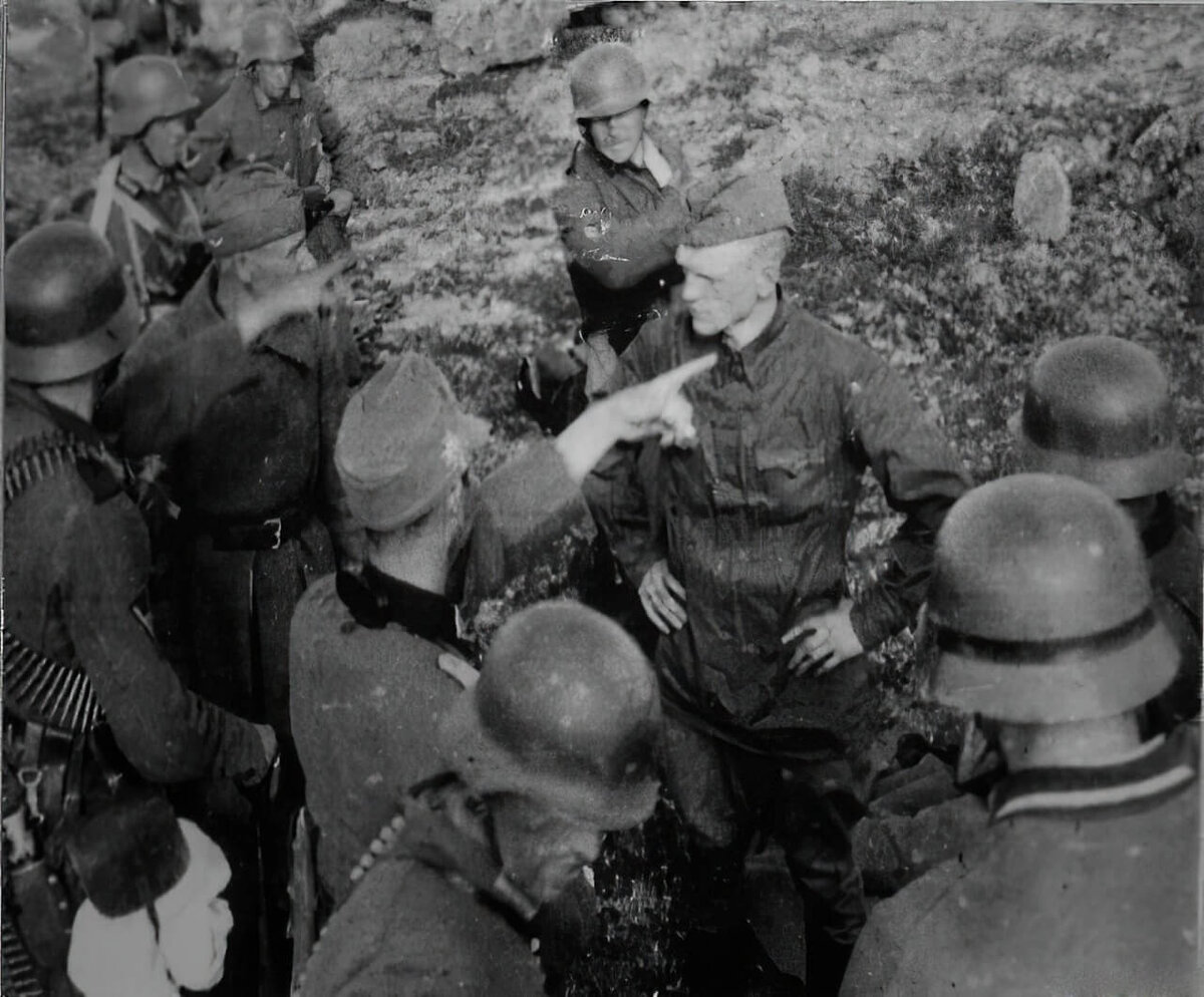 Яндекс картинки