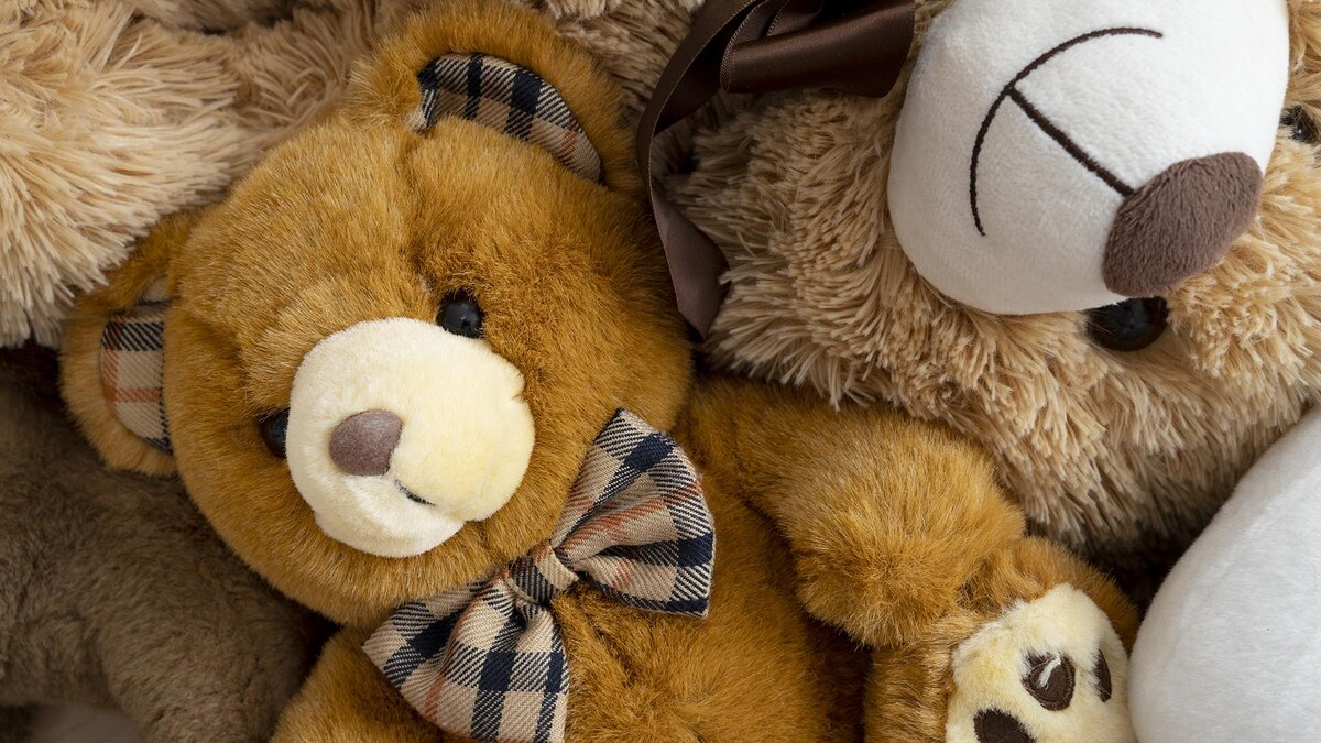 Фото: freepik.com