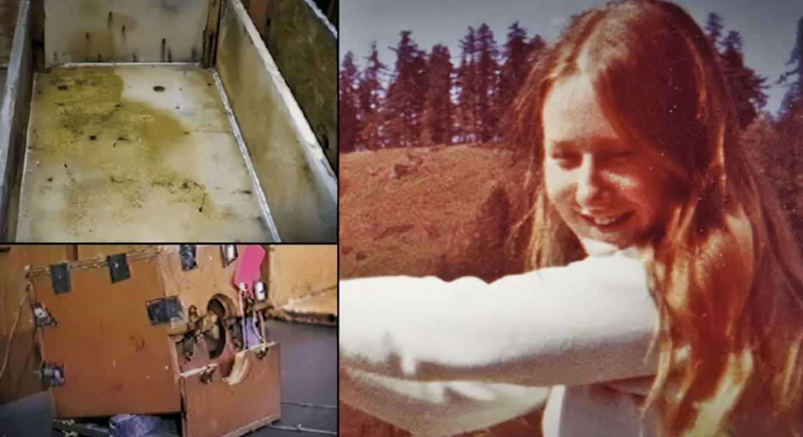 Фото: открытые источники