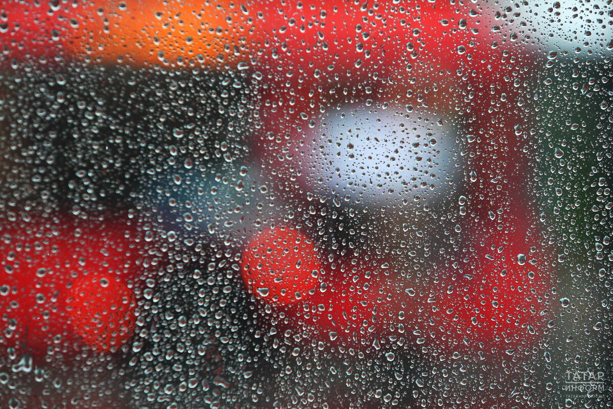 Фото: © Михаил Захаров / «Татар-информ»