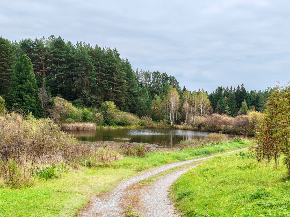 Таёжная Заимка - территория хаски