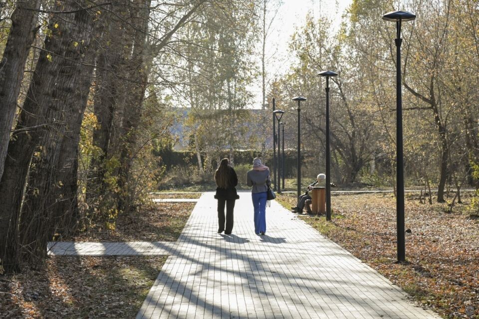    Благоустройство парков в Барнауле. Источник: barnaul.org