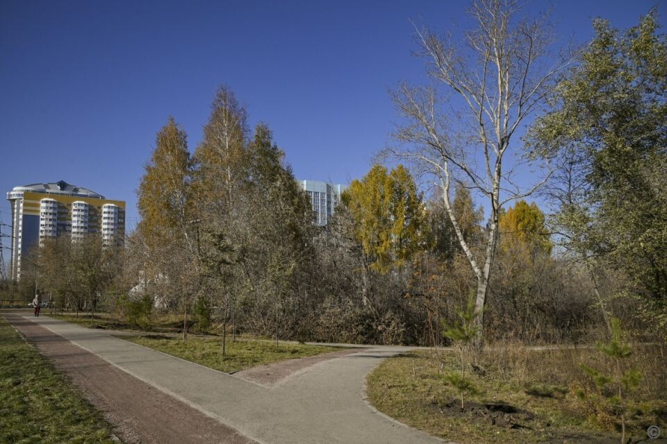    Парк "Юбилейный" осенью. Благоустройство.. Источник: barnaul.org