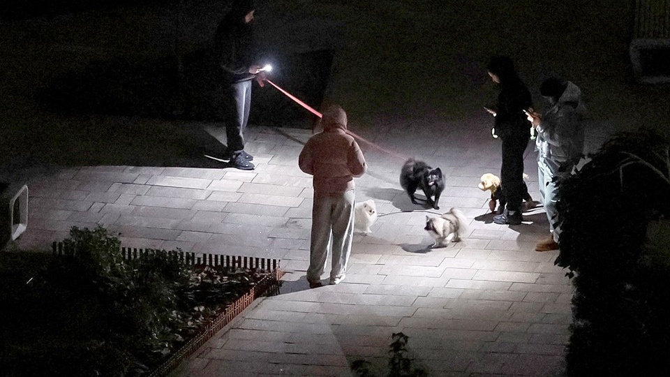 Украинцы требуют от власти сложить оружие, Киев погрузился во тьму: как простые люди живут «по ту сторону»