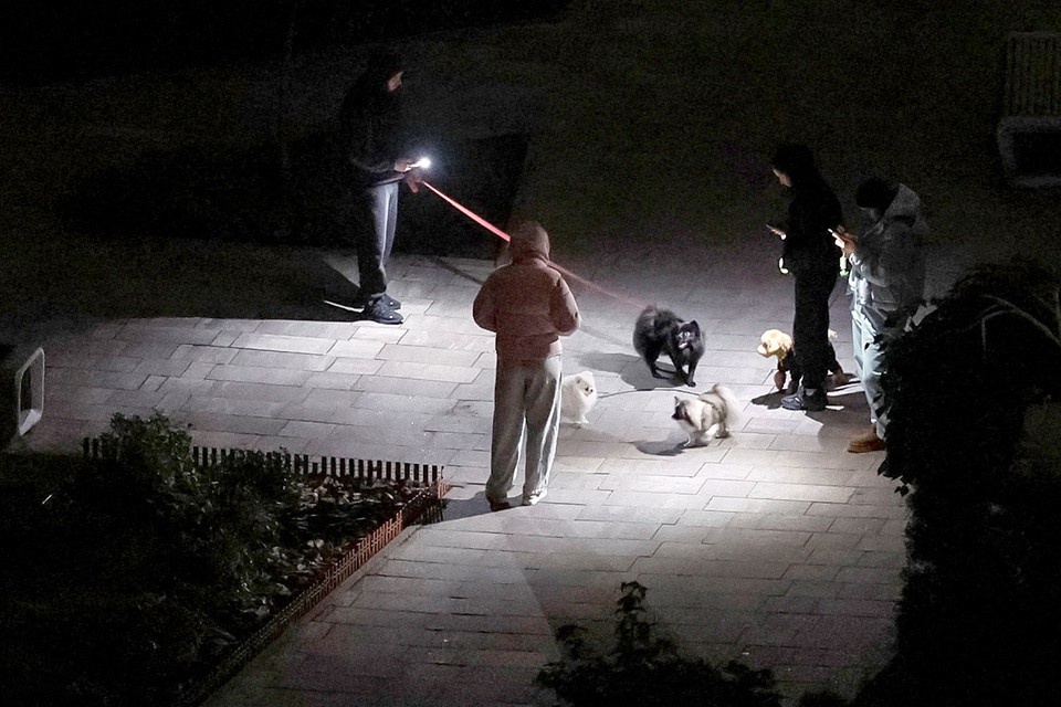    Вечер в Киеве. Владельцы собак выгуливает своих питомцев во время отключения света. REUTERS