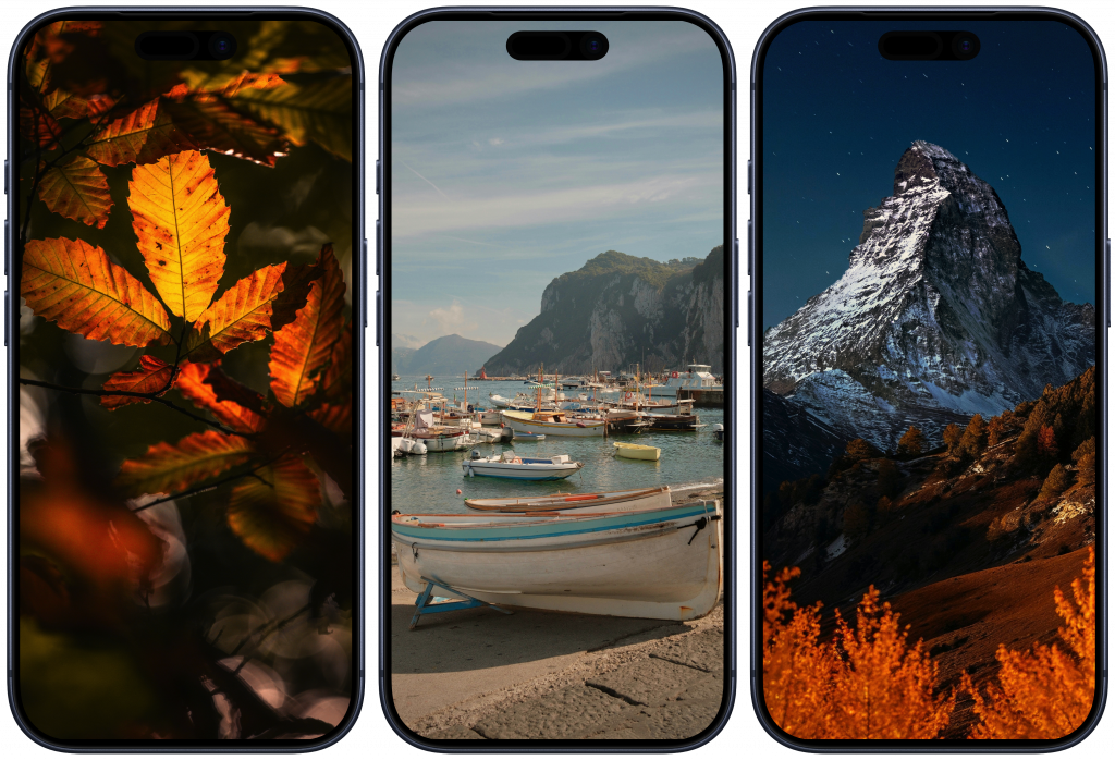    Обои на телефон