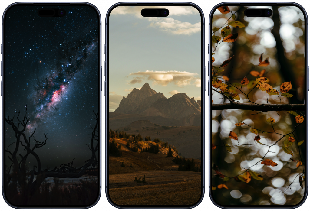    Обои на телефон