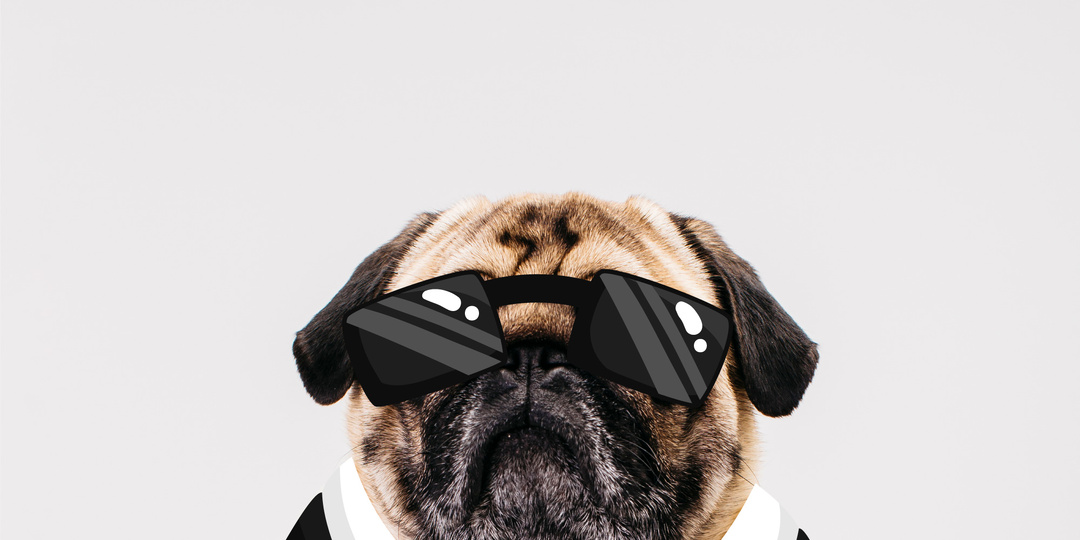 Мошенники не дремлют! Как не потерять квартиру? Что такое сделки с обременением!