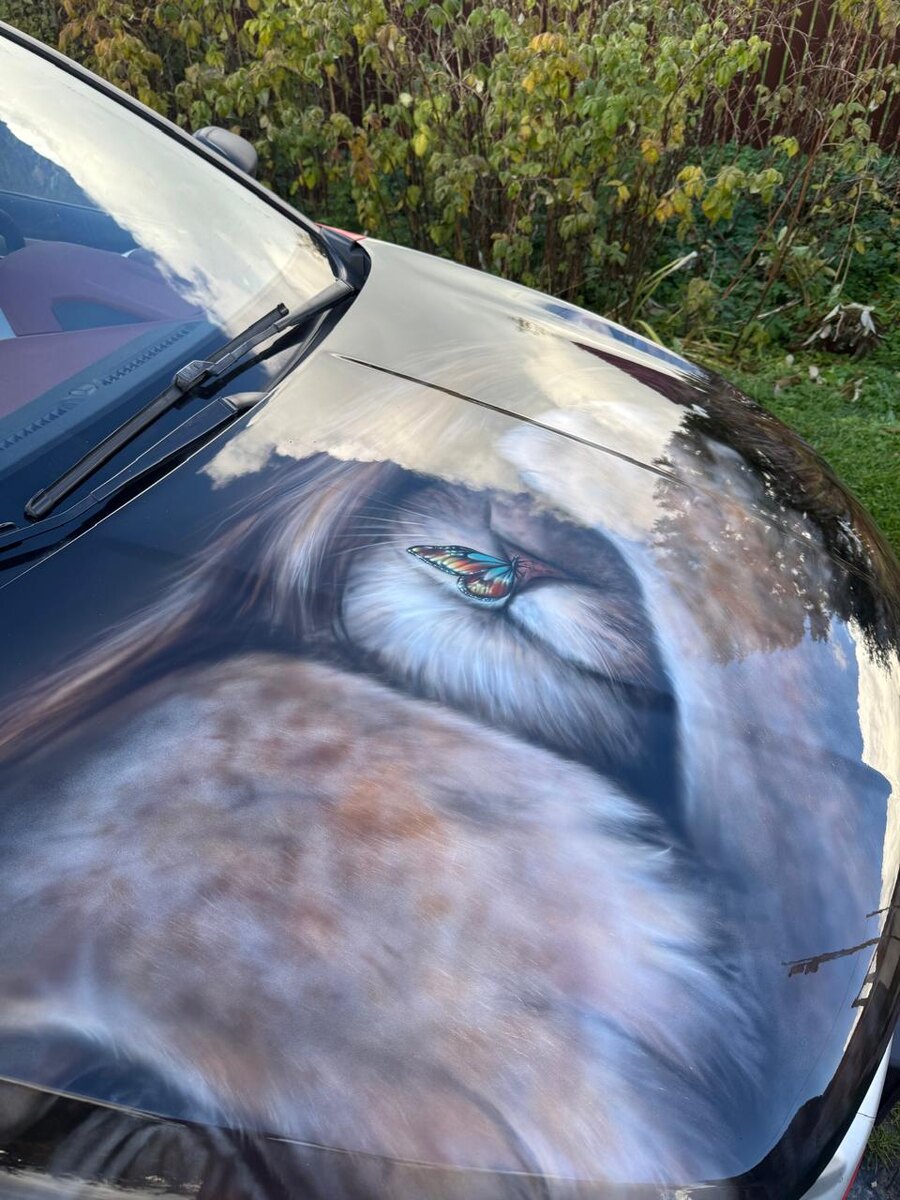 Роспись аэрографом на авто