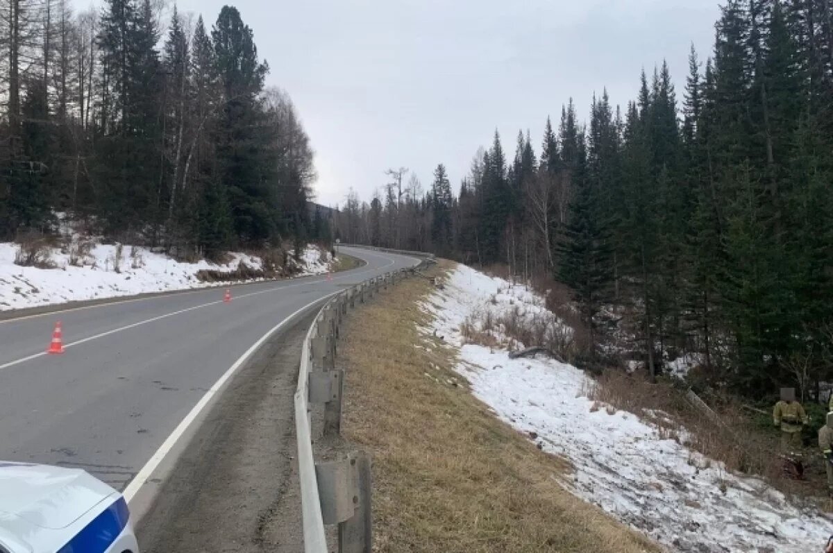    На Алтае водитель грузовика погиб, влетев в дерево