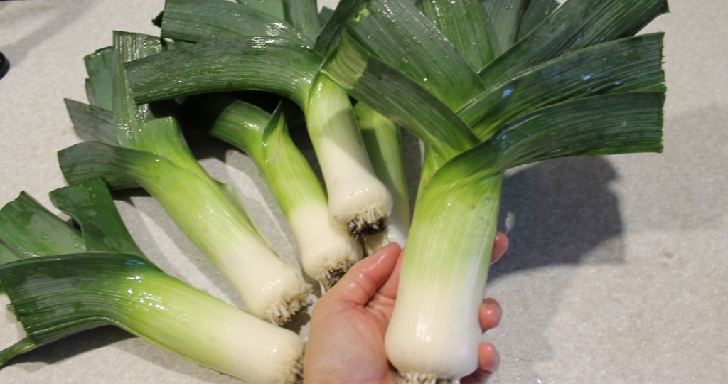 Лук-порей: сроки уборки, способы хранения и вкусные рецепты