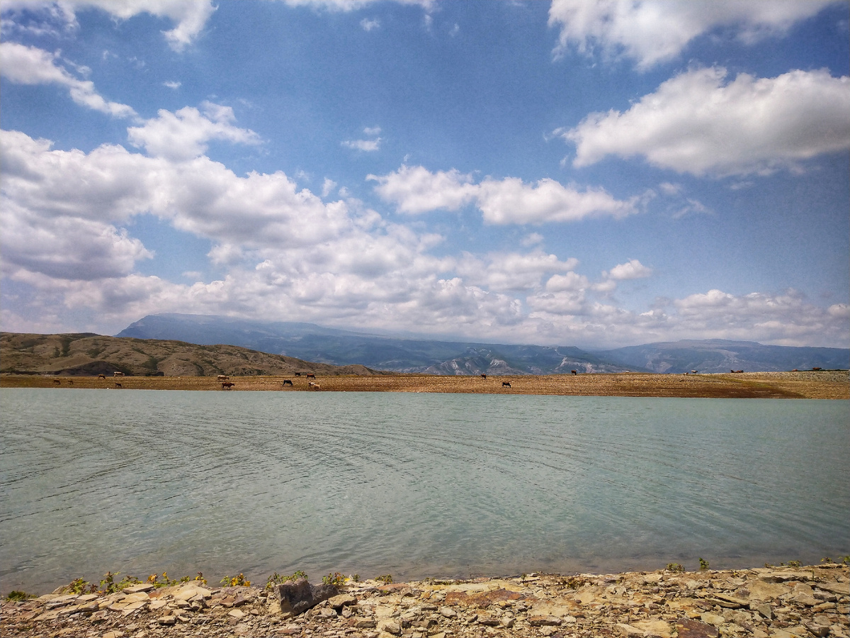 Чиркейское водохранилище 