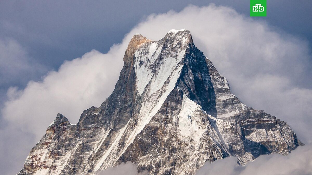    Фото: Faj2323 / wikimedia.org