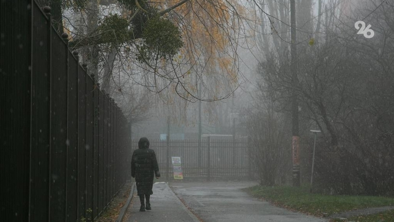      Фото: ИА «Победа26»