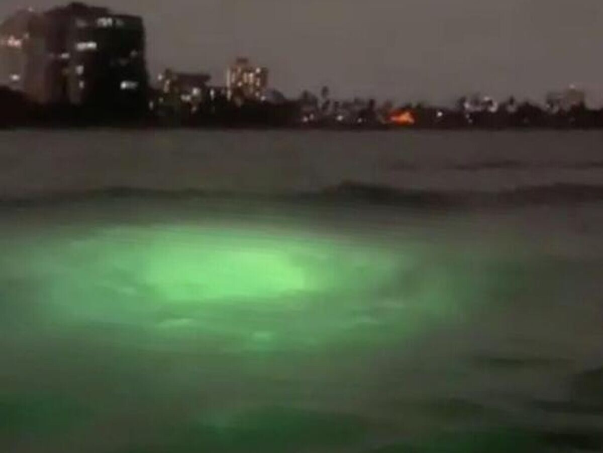    Зеленые огни, движущиеся под поверхностью океана, у побережья США© Enigma