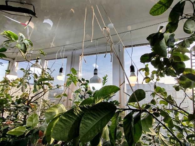 История света моего балкона, качество света, часть 3