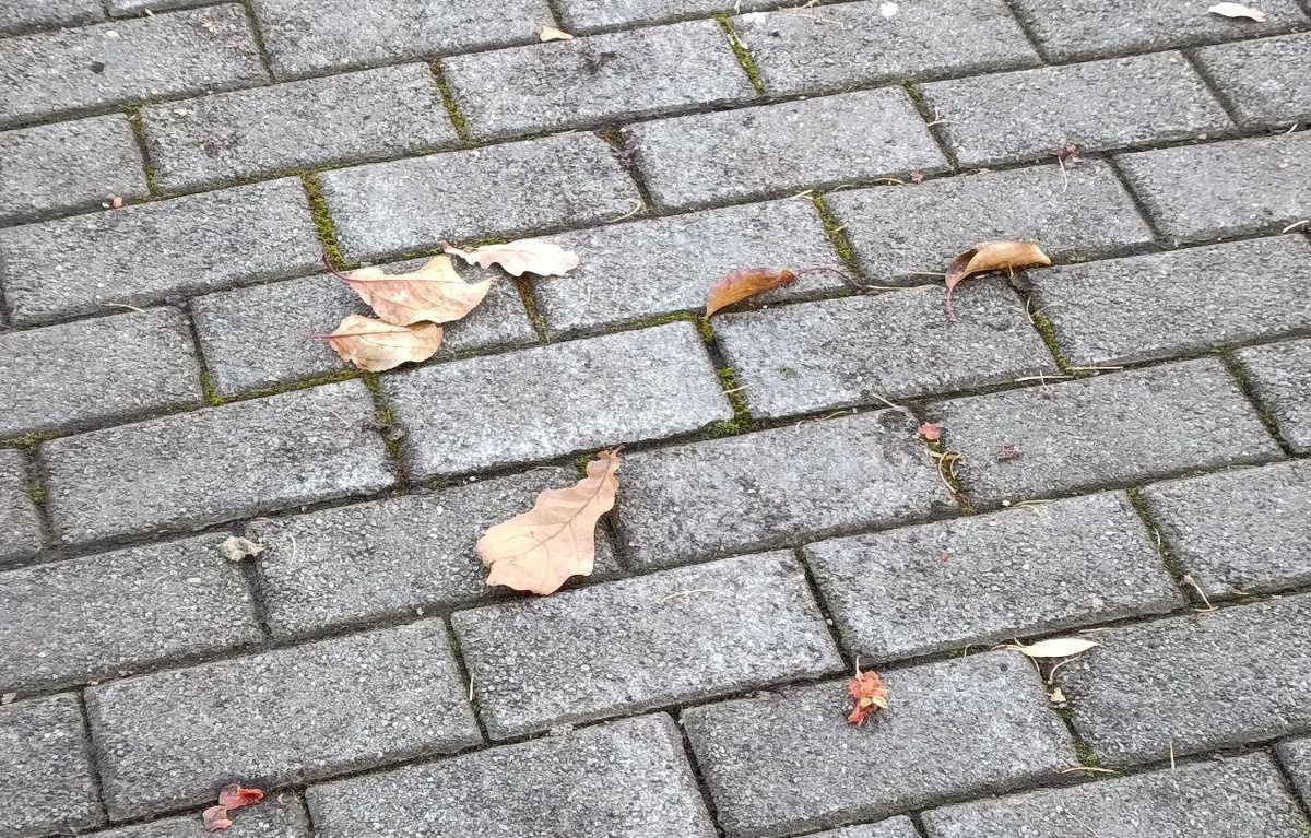 Фото: Мария Кущиди