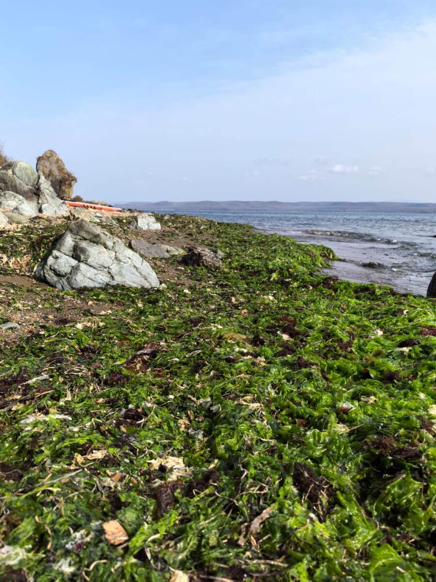 Листайте, там красота