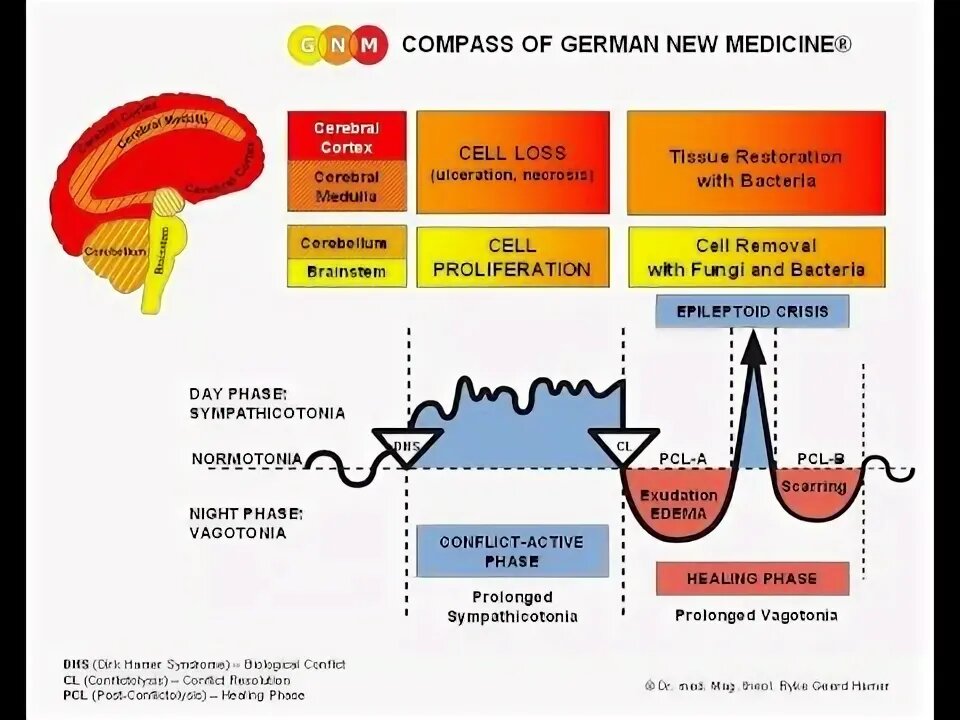 Фото с просторов интернета