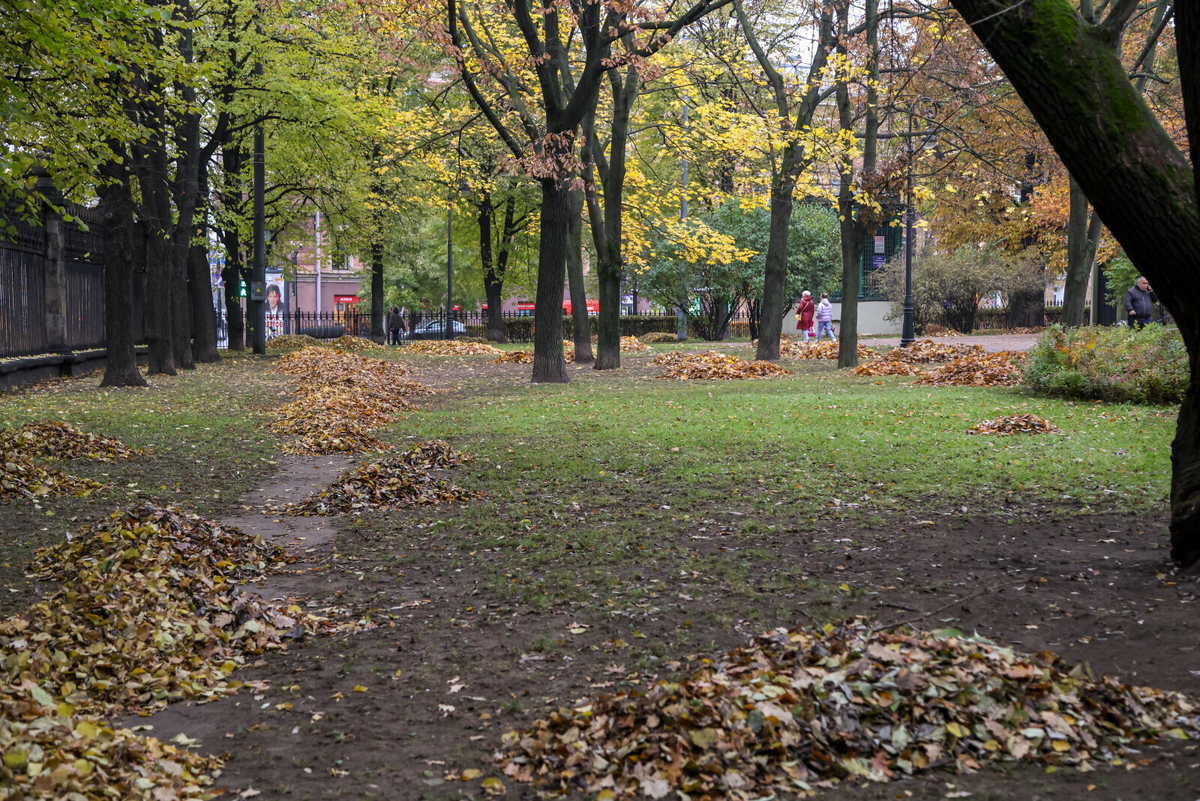 Фото: Олег Золото / «Петербургский дневник»
