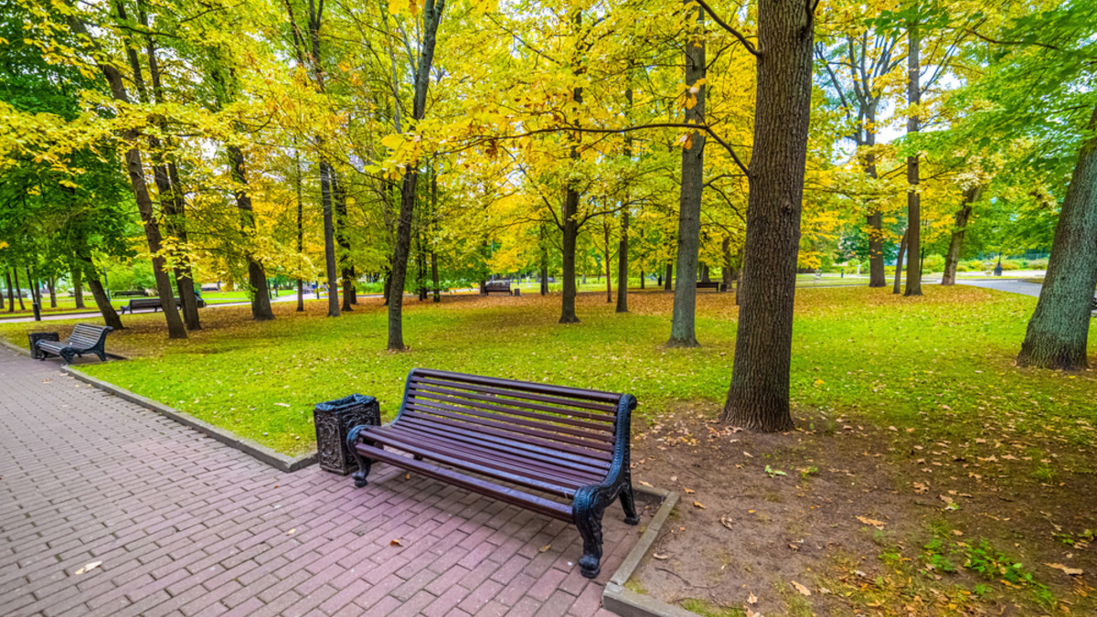 Источник: https://realty.rbc.ru/news/5f5b68d69a794701d37ad2aa