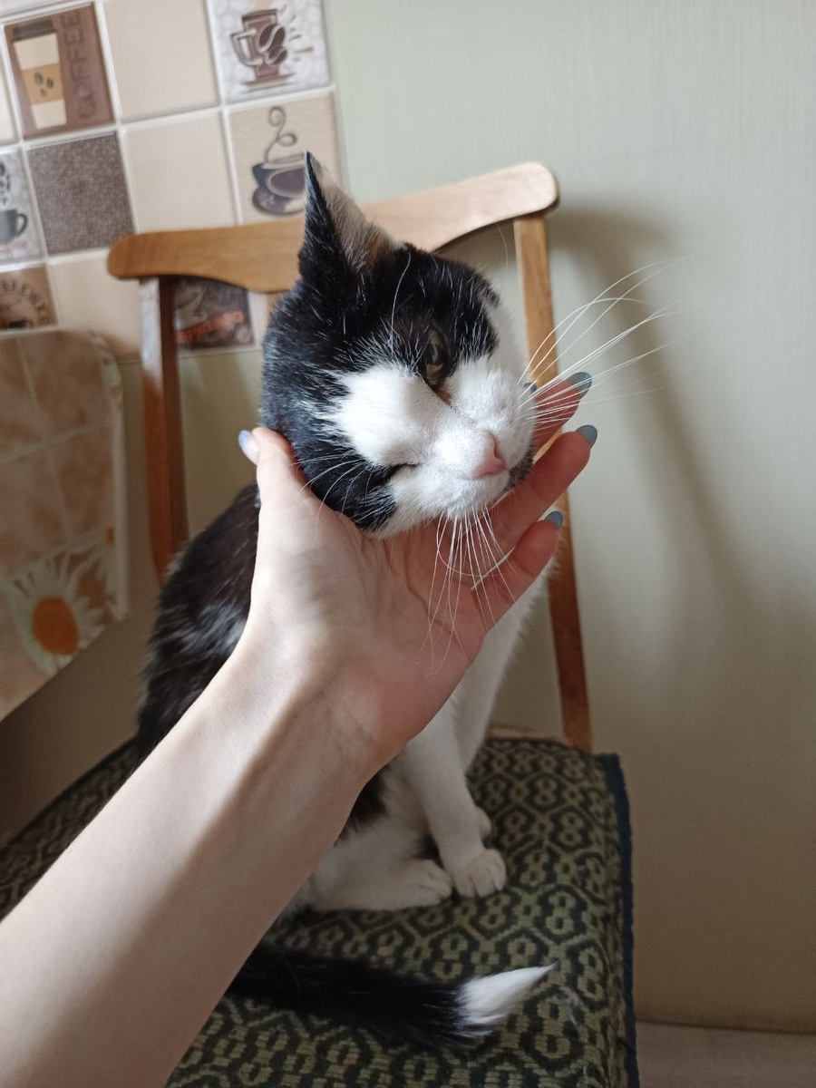 Любимое дитя