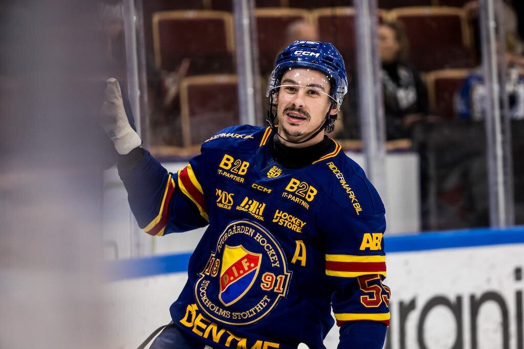 "Стокгольмским бывает не только синдром, но и счастье..." (фото: hockeynews.se)