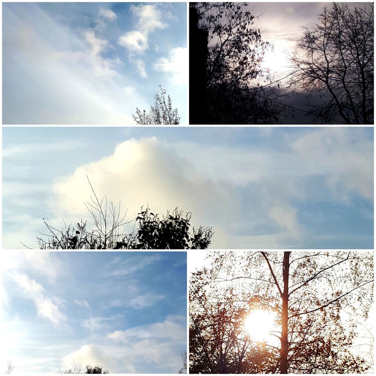 Коллаж автора статьи 27.10.2025г.