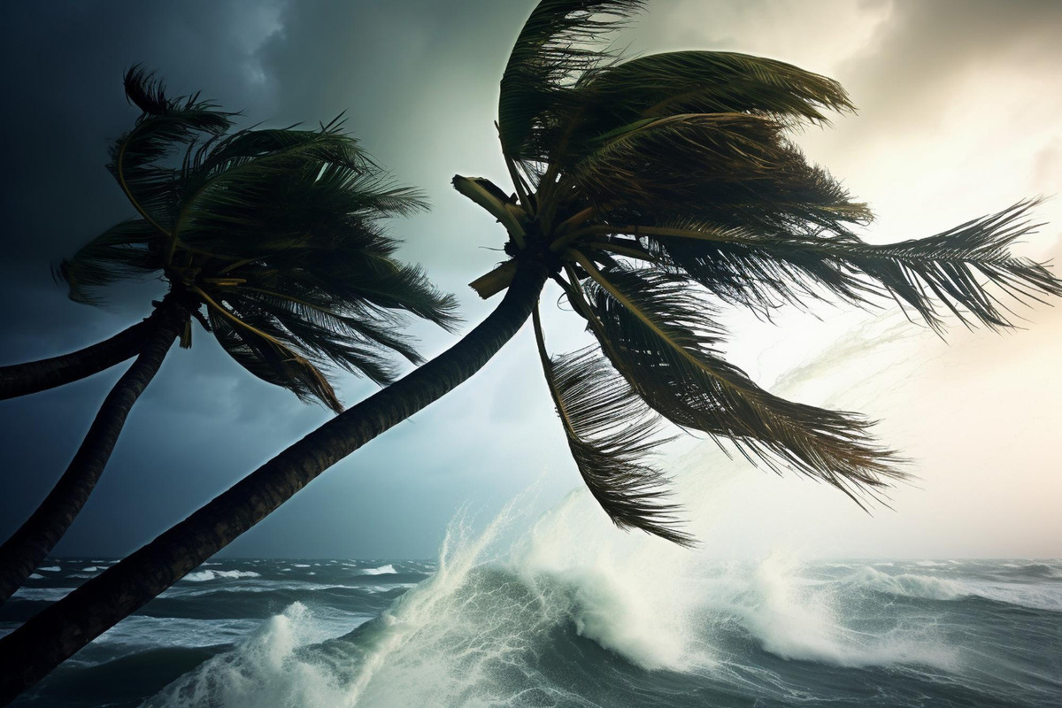 Фото: freepik.com  📷
