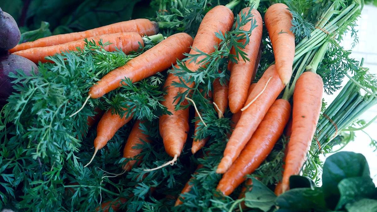    Фото: Ярослав Чингаев / АГН Москва