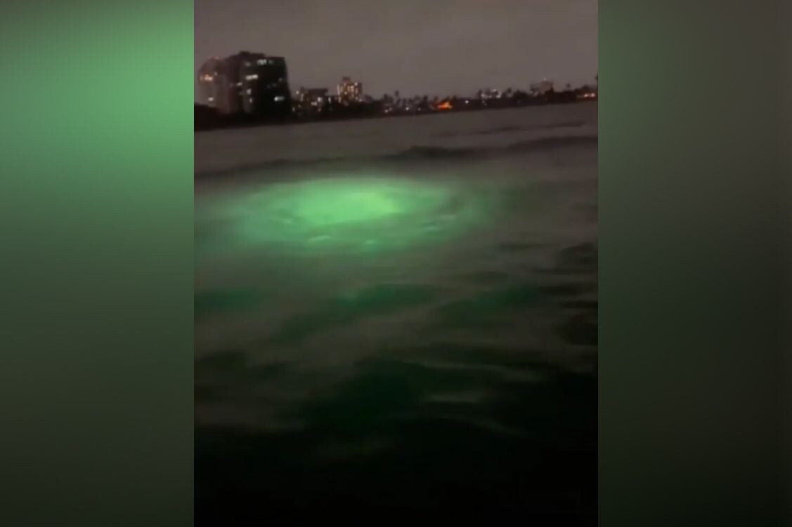     / Источник: Кадр из видео, отправленных в приложение Enigma