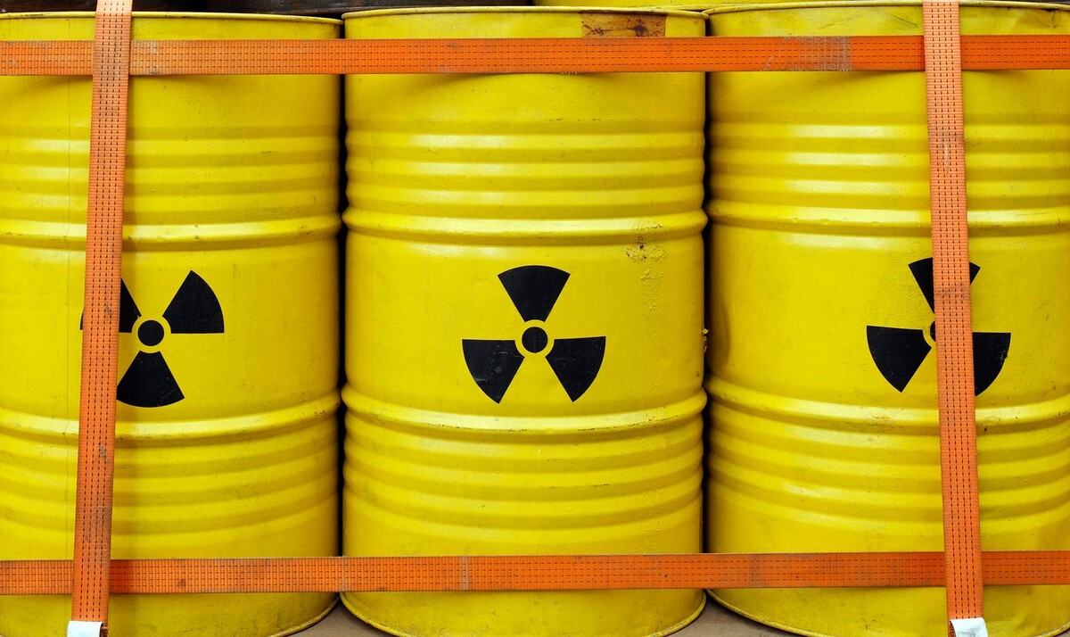     / Источник: © Global Look Press