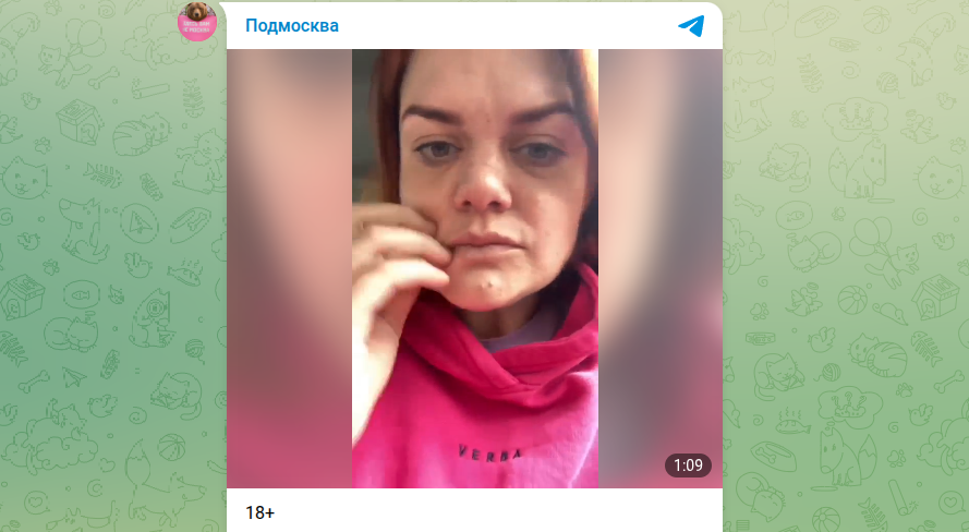 Фото: тг-канал "Подмосква", кадр видео Екатерины Аратовой.