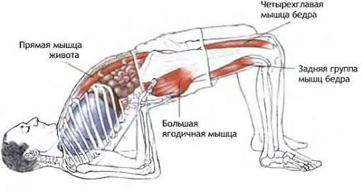 Сету Бандхасана